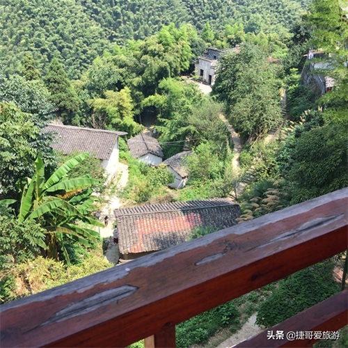 安徽省 黄山市 黟县 木坑竹海景区