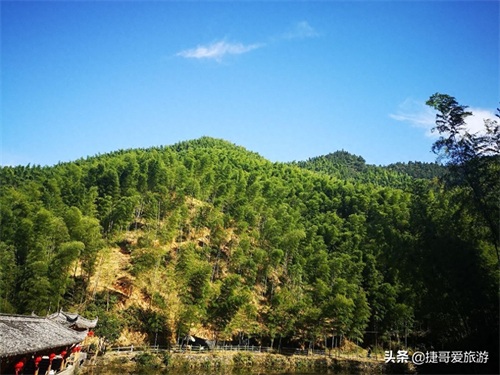 安徽省 黄山市 黟县 木坑竹海景区