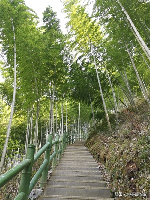 安徽省 黄山市 黟县 木坑竹海景区