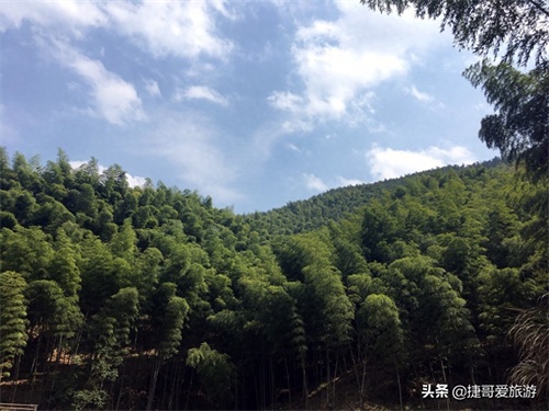 安徽省 黄山市 黟县 木坑竹海景区