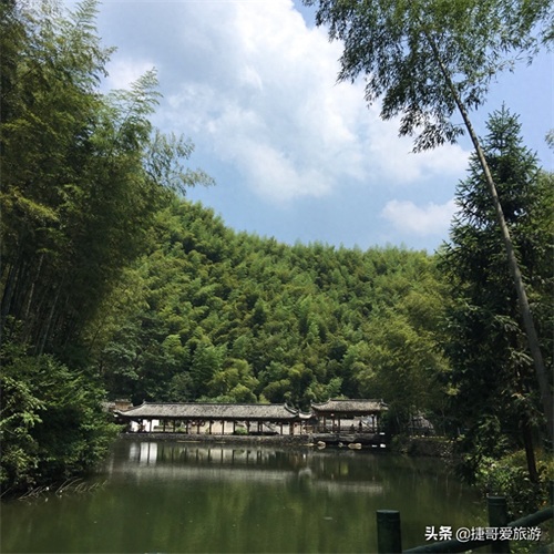 安徽省 黄山市 黟县 木坑竹海景区