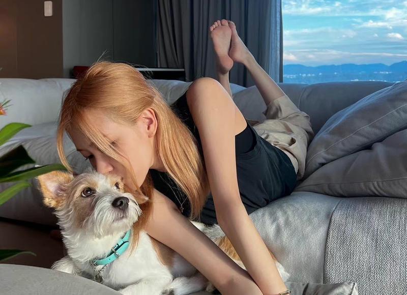 为什么吃冰西瓜容易拉肚子 拉肚子适合吃什么食物好