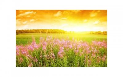 ​白带像豆腐渣怎么回事 外阴瘙痒可以用热水洗下面吗