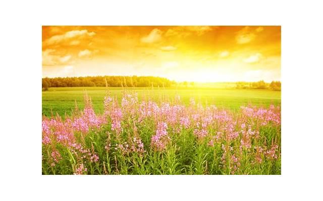 白带像豆腐渣怎么回事 外阴瘙痒可以用热水洗下面吗