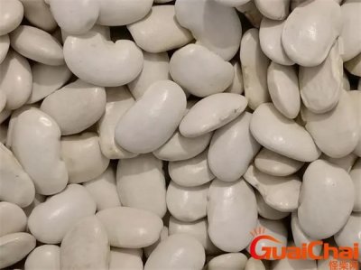 ​白芸豆减肥是真是假 吃白芸豆的好处是什么