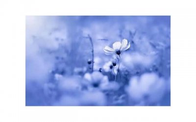 ​刚认识的女生， 什么样的开场才会吸引她，你知道吗？