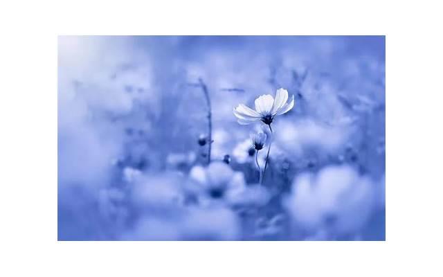 刚认识的女生， 什么样的开场才会吸引她，你知道吗？