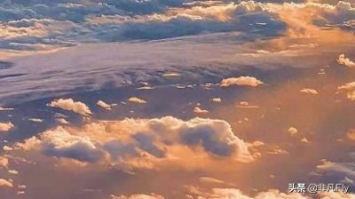 ​日进一步，sql语句之排序语句order by