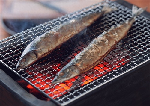 秋刀鱼的滋味~~猫和你都想了解~到了吃秋刀鱼的季节了