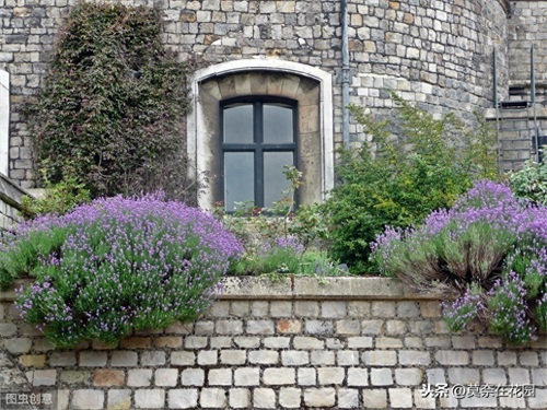 英国女王伊丽莎白二世的私家花园-温莎城堡（Windsor Castle）