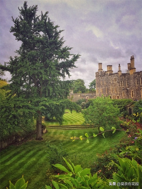 英国女王伊丽莎白二世的私家花园-温莎城堡（Windsor Castle）