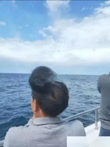 ​「搞笑图片」成年人的绿帽总是这么悄无声息