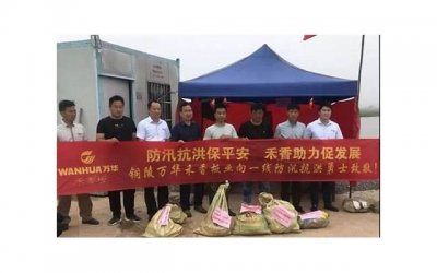 ​8首适合表白的歌曲，脱单稳稳的！