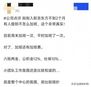 ​京东方集团的工资秘密——不加班的甜头与薪资的纠结