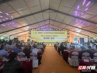 ​盛世兴茶①丨茶香飘洞庭 “君品君山”2024岳阳茶博会展示百亿茶产业发展硕果