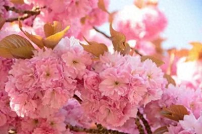 ​寒山之谜：浙江、福建、河南，究竟是哪座山？