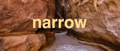 ​每日一词 | narrow 详解