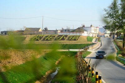 ​明光市石坝镇：“樱花小镇”欢迎您来观赏