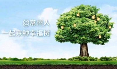 ​“三大一实干”大走访：把脚印留在基层，把口碑立在民心