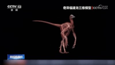 ​福建终于有自己的恐龙了！距今约1.5亿年