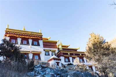 ​十二生肖每日运势