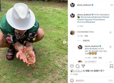 ​杜德伟现状怎样(杜德伟罕露面戴26万金表太阔气)